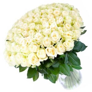 Роза Аваланж 70 см
